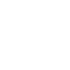 logo_raco_transport
